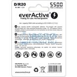 EverActive Silver 5500 5000mAh (D / R20) Góliát Újratölthető Elem / Ni-MH Akkumulátor (2db)