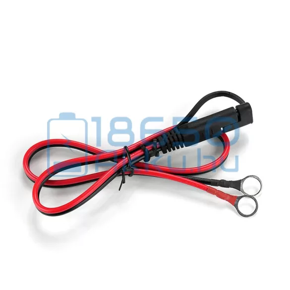 EverActive CBC-10 12V/24V Autó Akkumulátor Töltő