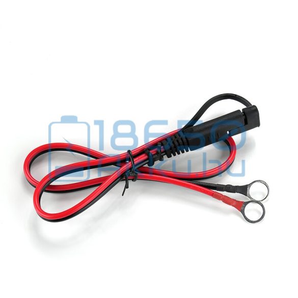 EverActive CBC-10 12V/24V Autó Akkumulátor Töltő